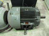 Newman 150 HP, 1180 RPM